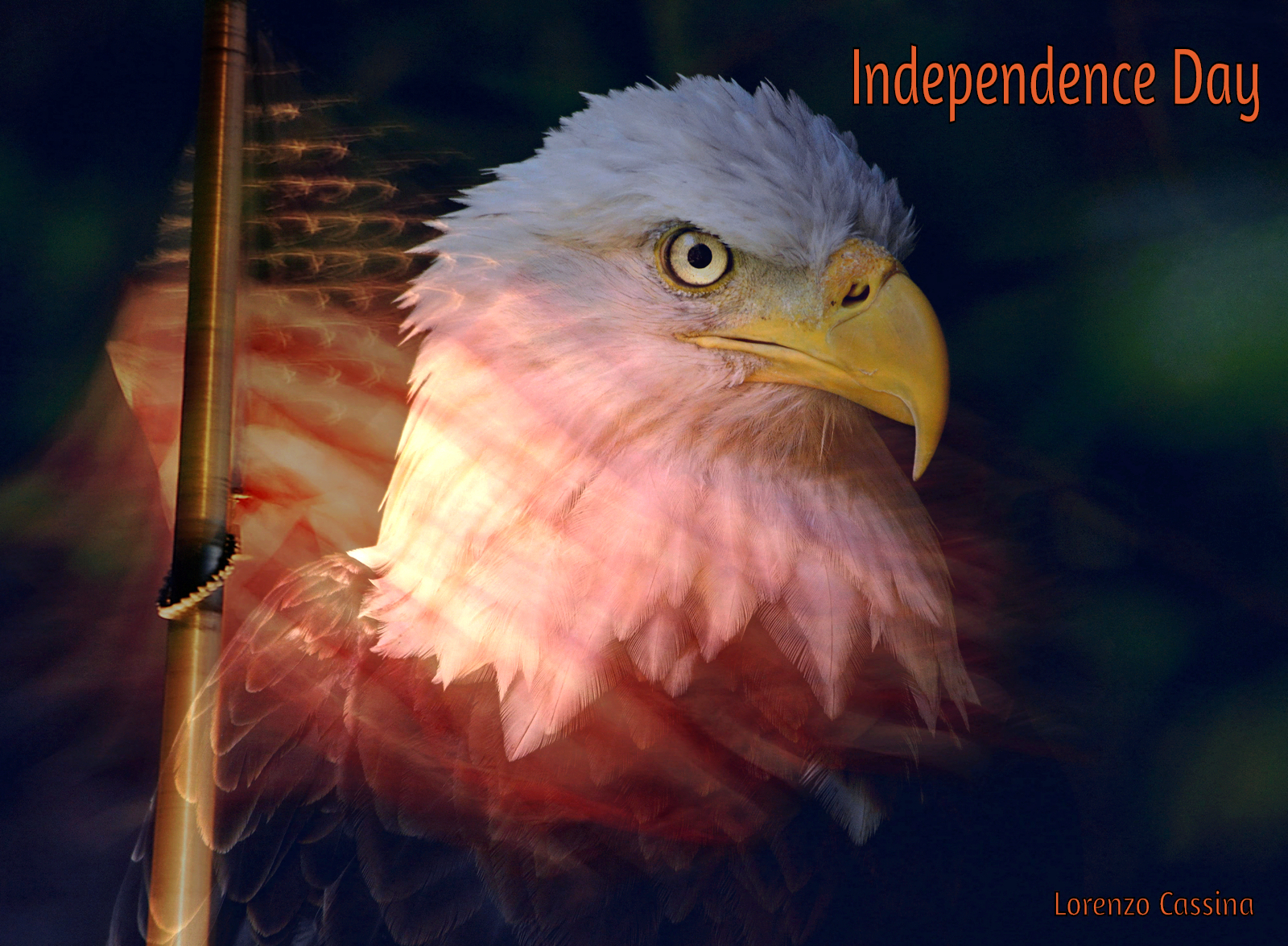 independence-day-shutterbug